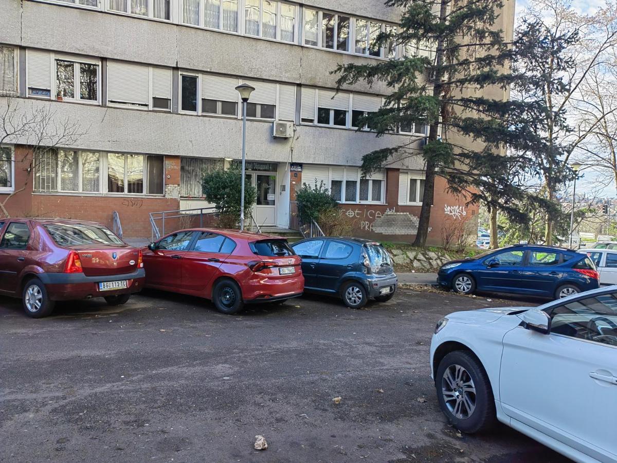 Cosy Apart Aca Beograd Eksteriør billede